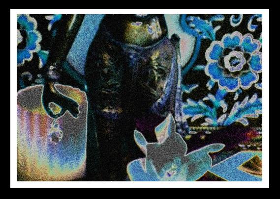 tara-alt2-smallest w border